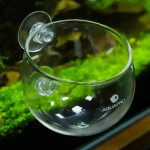 Aquapro Glass Plant Pot Cam Bitki Saksısı